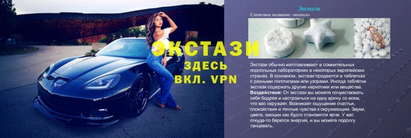 шишки Абаза