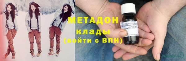 шишки Абаза