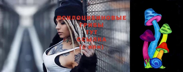 шишки Абаза