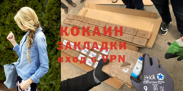 шишки Абаза
