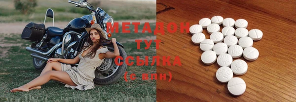 шишки Абаза