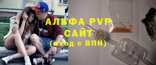 шишки Абаза