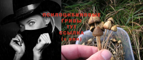 шишки Абаза