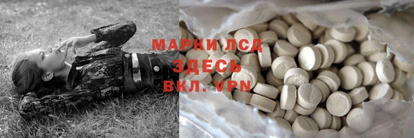 шишки Абаза